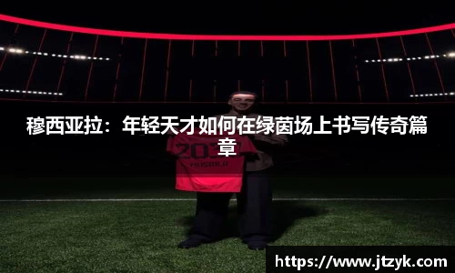 鑫彩网平台